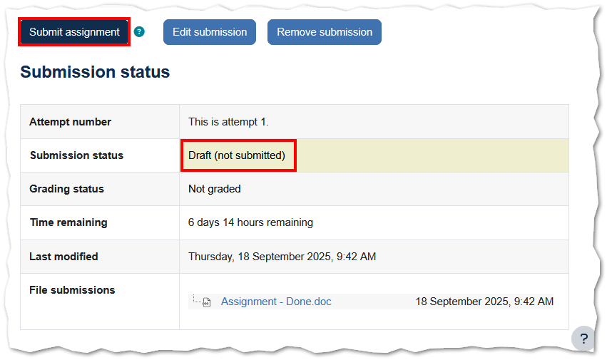 screenshot of submit assignment