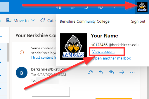 screenshot of Outlook Profile Popup